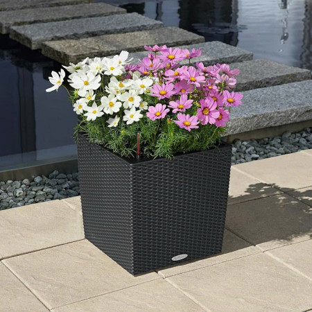 Chậu Trồng Hoa : Hình Vuông 40 x 40cm 